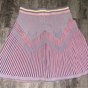 Striped Pink and Blue Women's Skirt